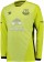 Детская форма голкипера футбольного клуба Эвертон 2016/2017 (комплект: футболка + шорты + гетры)