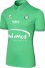 Форма футбольного клуба Сент-Этьен 2016/2017 (комплект: футболка + шорты + гетры)